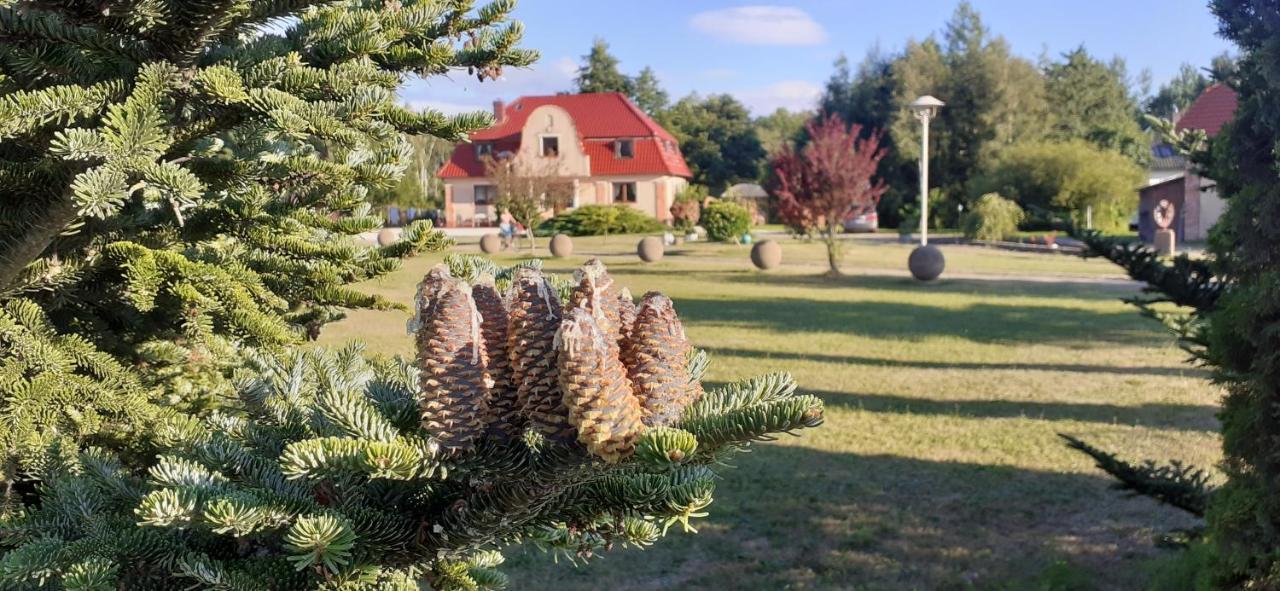 Sielanka - Domki i Pokoje pod Łebą Zarnowska Exteriér fotografie