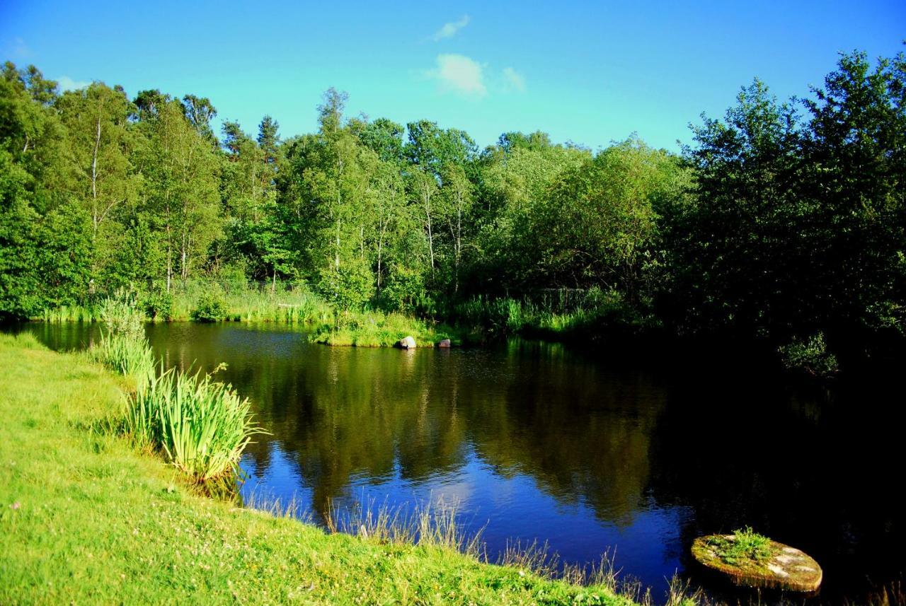 Apartmán Sielanka - Domki i Pokoje pod Łebą Zarnowska Exteriér fotografie